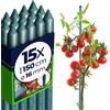 KADAX Supporti in Acciaio Plasticato - 15 x 150cmx16mm, Sostegni per Pomodori, Bastoncini di Supporto per Piante Rampicanti, Pali per Orto e Giardino