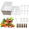 Generico Idroponico | Kit di Coltivazione Indoor per Tutte Le Stagioni con Configurazione Completa della Piantina | Coltura Domestica per Verdure, Frutta, Lattuga, Erbe Aromatiche, Ideale PE