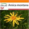 SAFLAX - Garden in the Bag - Arnica - 40 semi - Arnica montana