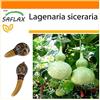 SAFLAX - Garden in the Bag - zucca a bottiglia - 15 semi - Lagenaria siceraria