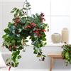 Vivaio Garden Forest Aeschynanthus - Pianta del Rossetto in Vaso 15 cm - Escinanto Ricadente da Interno con Fiori Rossi - Pianta Tropicale da Appartamento Sospesa