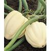 Generic 25 Semi di Bianco Crema Di Zucca Ghianda Del Raccolto Di Zucca