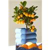 Generico Calamondino Mini Albero in Vaso di Plastica Riciclabile, Ø 15 cm, Colore Cotto, 40 cm di Altezza, Pianta Viva da Interno ed Esterno
