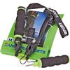 Zandstra Icespike Isdubb