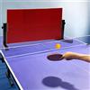 SanBouSi Ping-pong Rebound Board Countertop Ping Pong Return Board Return Board Returnboard rimbalzo Attrezzo di allenamento interno regolabile a 360° per l'allenamento di abilità di ping pong