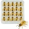 Generico Esche Per A Mosca Trota - 20 Artificiali Ape Simulate Per Attirare Pesci,Attrezzatura da con Design Realistico per Acqua e Mare Trota Persico Branzino Tonno