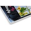 Social Crazy STAMPA IN FOREX PERSONALIZZATA - Stampa U.V. ALTISSIMA RISOLUZIONE - IDEALI ANCHE PER ESTERNO (30X42 CM)