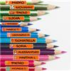 Colorfamily Etichette adesive personalizzate con nome per matite, penne, libri quaderni, scuola, asilo, elementari. Set da 100 pezzi, dimensioni 4,6 x 0,8 cm
