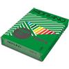 STABILO Carta Copy Tinta Forte gr.160 A4 250 Fogli Verde