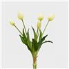 EDG Enzo de Gasperi Bouquet di tulipani Bianchi