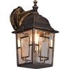 Trio Leuchten Volturno 205967128 - Lampada da parete per esterni, in alluminio pressofuso, vetro trasparente, 1 x E27, colore: ruggine anticato