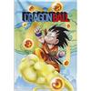 Grupo Erik: Wall Scroll Dragon Ball Goku | Poster Tela da Parete Anime, 70 x 100 cm, Resistente e Facile da Appendere - Stampa su Tela, Wall Art Decor