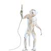 SELETTI Lampada in Resina Monkey Lamp Cm.46X27,5 H.54 - in Piedi