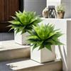 Vitalismo Piante grasse finte, piante grasse artificiali per interni ed esterni, in agave sintetica, 65 cm di larghezza, resistenti ai raggi UV, fioriere per porta d'ingresso, giardino, decorazione