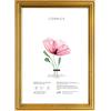 Lupia - Cornice Portafoto da Parete, Oro Anticato BLITZ, Made in Italy, Appendibile Orizzontale/Verticale, dorata, per Foto, Stampe Artistiche, Poster, Quadri Moderni 35x50 cm