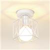 iDEGU Lampada da Soffitto Vintage, Lampada a Sospensione Industriale in Metallo E27 Plafoniera a Forma di Gabbia Esagonale Lampadario Soffitto per Cameretta Bar Ristorante Corridoio (15cm, Bianco)