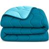 MAXIME MAISON - Piumone Matrimoniale Invernale 260x260cm, Trapunta Invernale Matrimoniale (300gr/mq) Coperta Calda in Microfibra, Copriletto per Stagioni Fredde, Design Double Face, Made in Italy