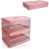 S.I.C Scatola Portaoggetti Trasparente Pieghevole,Scatole Immagazzinaggio Plastica,Organizer per Bagagliaio Auto,Armadi,Casa,Dispense,Ufficio (2*(42x28x21 cm), Rosa)
