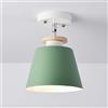 Mengjay Trade Plafoniera in metallo Moderno, Lampadario Da Soffitto Creativa Paralume Plafoniere interne Luci Per Corridoio Scale Ingresso Camera da Letto, illuminazione per la casa Ceiling Light,Verde