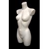 The Shopfitting Shop Colore Bianco Donna Sportswear Manichino Busto for Lingerie Swimwear Fashion and Shopfittings