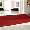 KARAT Zerbino su misura Hong Kong - Tappeto a metro - Zerbino robusto da 10 mm di altezza - Zerbino antisporco resistente (Rosso, 100 cm x 250 cm)