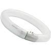 Sylvania Luxline - lampe Luxline circulaire fC40 W/830 T9 G10q