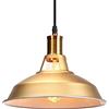 iDEGU Lampadario a Sospensione Industriale 27cm Lampada da Soffitto Vintage in Metallo E27 Lampadario Soffitto Retro Lampada a Sospensione per Sala da Pranzo Soggiorno Cameretta Ristorante (Dorato)