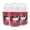 Palucart Candele profumate in Giara grande set da 3 candele profumate relax candle (Frutti di bosco) - M