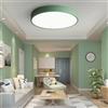 WDBZTJ Plafoniera a LED con Telecomando, Rotonda Dimmerabile con Paralume in Acrilico, Moderna per Soggiorno, Corridoio, Bagno, Camera da Letto, Verde, 40cm