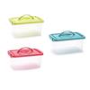 PlasticForte Box Scatola Contenitore con coperchio in plastica vari misure Mini Scatola con coperchio e clips (3 box da 4 litri con manico 29 x 18,5 x 13 cm)