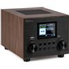 Audizio Vieste DAB Radio Digitale con Bluetooth, Subwoofer Integrato, DAB+, Radio FM, Riproduzione MP3 USB, Display TFT a colori, Sveglia e Sleep Timer, Finitura Legno, Altoparlante 60W, Telecomando