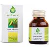 ERBEX essere e benessere Erbex 51308 Uva Ursina, 100 Capsule