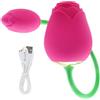 ModexO Uovo vibrante Giocattolo vibratore con palla Uovo vibrante Macchina del sesso Masturbatore potente Giocattolo del sesso per adulti Masturbatori Giocattoli del sesso Per Donne