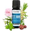 Casida - Fluido per la Cura della Bocca+ con ceramica EM - aiuto in caso di afte e punti di pressione mediante protesi e impianti - vegetale - la qualità delle farmacie - 10 ml