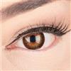 GLAMLENS Lenti a contatto colorate marrone scuro Mila Brown Hazel - mensili - con porta lenti a contatto - marroni naturale in silicone idrogel - 2 pezzi - DIA 14.3 - senza correzione 0.00 diottrie