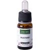 Solime' Fiori di Bach - Mustard 10 ml - Rimedio naturale analcolico indicato per la mente, l'emotività e lo stress - Prodotto erboristico made in Italy