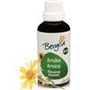 Bergila Olio d'arnica - oleolito 50 ml bio - 100% naturale di materia prima biologica - qualità controllata e certificata