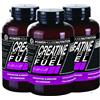 POWER HOUSE NUTRITION Creatina Monoidrato 600 Capsule 3000mg - 6 Mesi di Fornitura - Powerhouse Nutrition - Made in Italy - Integratore per Palestra, Allenamento, Pre Workout - Creatina Compresse Pure, Senza Additivi