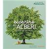 L'Ippocampo Scoprire gli alberi. Il mio cofanetto Montessori. Ediz. illustrata. Con 128 Carte