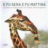EDIFIR E fu sera e fu mattina. La natura negli scatti di Valter Bernardeschi. Catalogo della mostra (Firenze, 5 settembre 2024-7gennaio 2025). Ediz. italiana e inglese