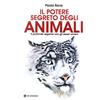 OM Il potere segreto degli animali. I consigli delle carte