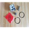 DORFEY Kit pistone P230S con cuscinetto da 32 mm adatto for ECHO SHINDAIWA DH230 C230 AH230 AHS231 LE230 LE231 P231 TCX230 F230 T231 M230 ES276 Blocco cilindro