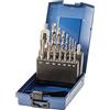 SW-Stahl SW Stahl Set Maschi e Punte Elicoidali M3-M12, 15 Pezzi, HSS-G, DIN 338/352 | Kit completo per foratura e filettatura metrica, include giramaschi DIN 1814 e pratica custodia in plastica rigida