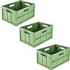 keeeper benno 3x contenitori pieghevoli professionali robusti con manici soft-touch, 45 l, Portata fino a 50 kg, Adatta per carrelli della spesa, 54 x 37 x 27,5 cm, Verde (Eco Grass Green)