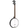 Gold Tone Oro tono ac-4 acustica Composite corde Openback Tenor banjo W/bag