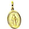 PEGASO GIOIELLI Ciondolo Oro Giallo 18kt (750) Pendente Medaglia per Madonna di Lourdes Madonnina Donna Ragazza