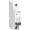 Schneider Electric Schneider A9K02140 K60N 1P, 40A, C Caratteristiche, 6kA