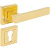 ALSTEN TECH Maniglia per porta BB PZ WC, in ottone lucido, rettangolare, per porte di camera, forma a L, colore oro (PZ - cilindro profilato)