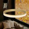 doporro Lampada a Sospensione LED 20W Dimmerabile Rotonda Ø40 cm Oro Regolabile con Telecomando per Soggiorno, Sala da Pranzo, Camera da Letto Luvina02