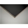 Santoro Shop Pannelli HPL in Bachelite Alta Qualità - Stratificato Compatto, Spessore 4 mm, Diversi Colori e Misure, Resistenti e Durevoli (Nero RAL 9005, cm 130x75)